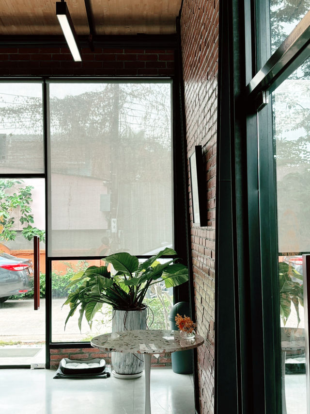 Morning Brew Cafe