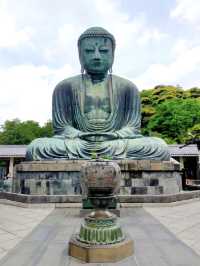 Early Summer Wandering in Kamakura – Flowers, Temples & Garden Lunches 
