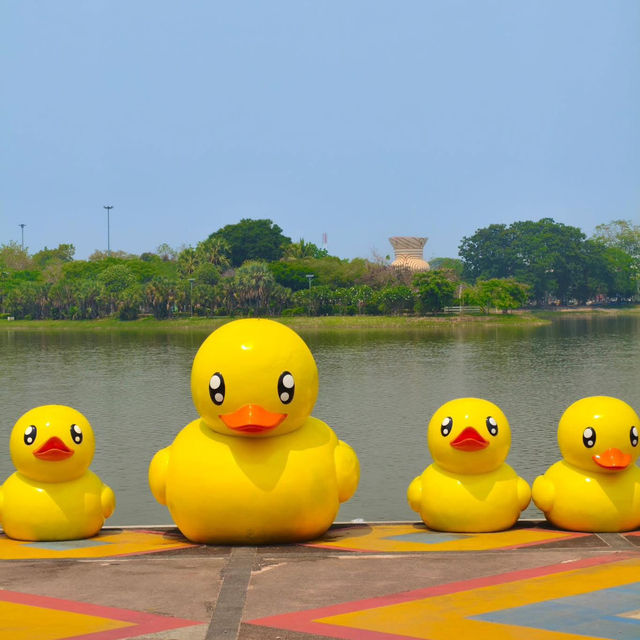 มาถ่ายรูปกับน้องเป็ดเหลือง ที่อุดรกันนน ✨🐤
