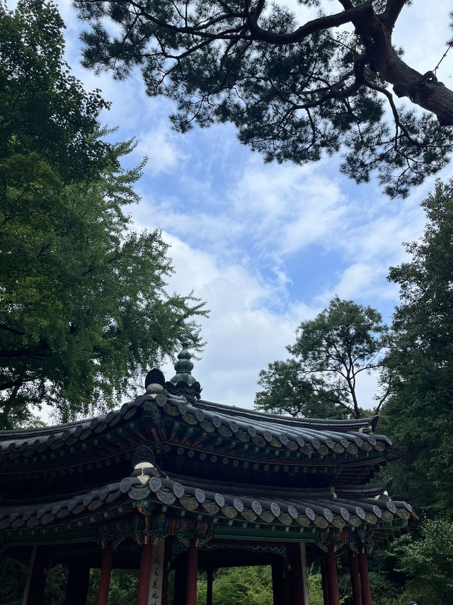 穿越百年時光，昌德宮是首爾最詩意的宮殿秘境