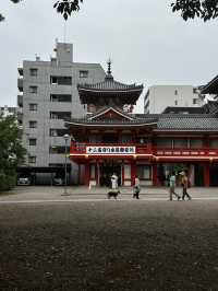 ขอพรที่Osu Kannon (Kitanosan Shinpuku-ji Hoshoin)🇯🇵