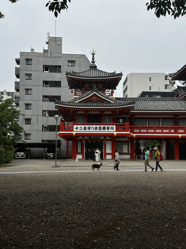 ขอพรที่Osu Kannon (Kitanosan Shinpuku-ji Hoshoin)🇯🇵