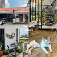 ทริปจันทบุรี 2 วัน 1 คืน 🌴🧸🌺
