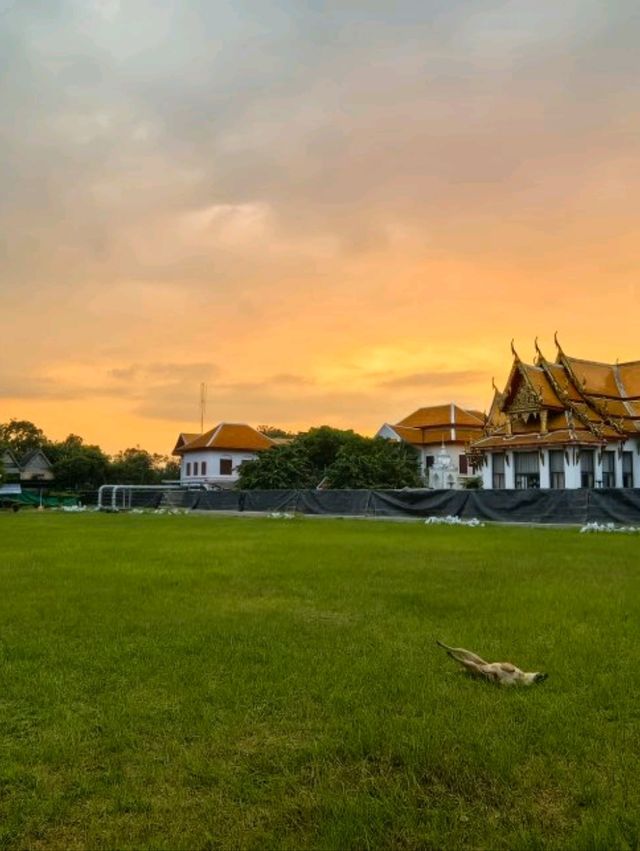 วัดกษัตราธิราช – เสน่ห์แห่งสายน้ำในฤดูหลาก