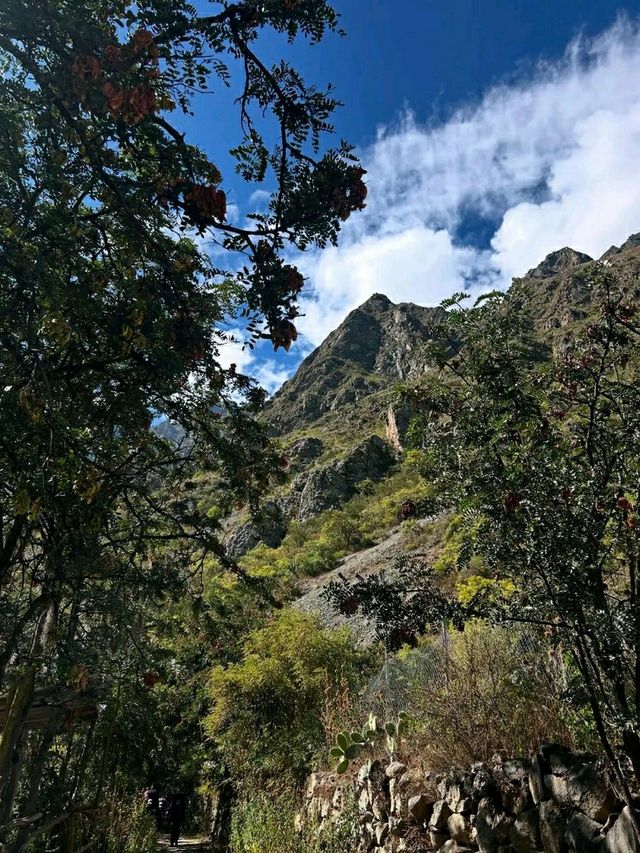 Walking the Ancient Path: Inca Trail to Machu Picchu