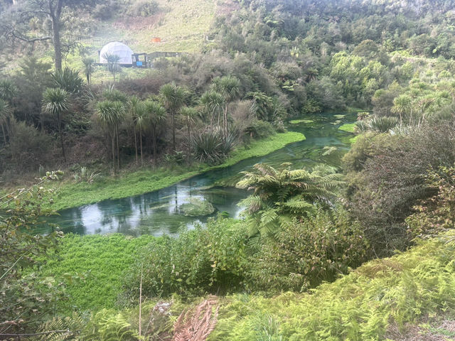 Blue Spring 