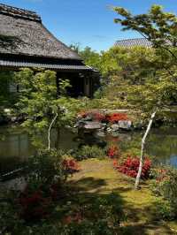 A Chill Spot for Nature Lovers in Nara