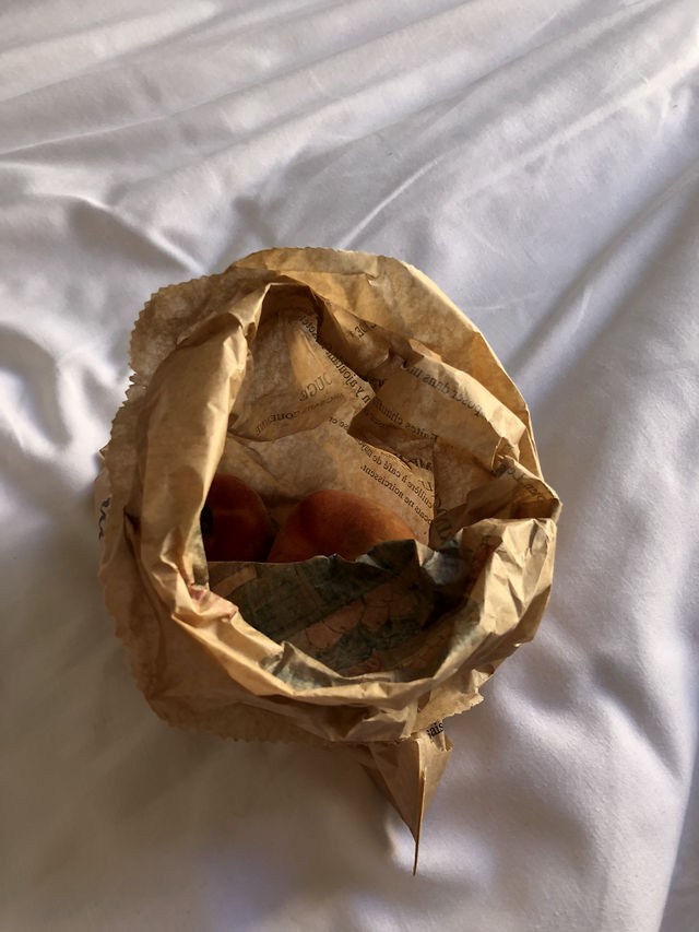 ✨파리의 아침을 걷다: 마레지구에서 시작하는 감성 오전 코스