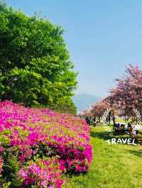 A Refreshing Escape to Misa lake Park (미사경정공원)
