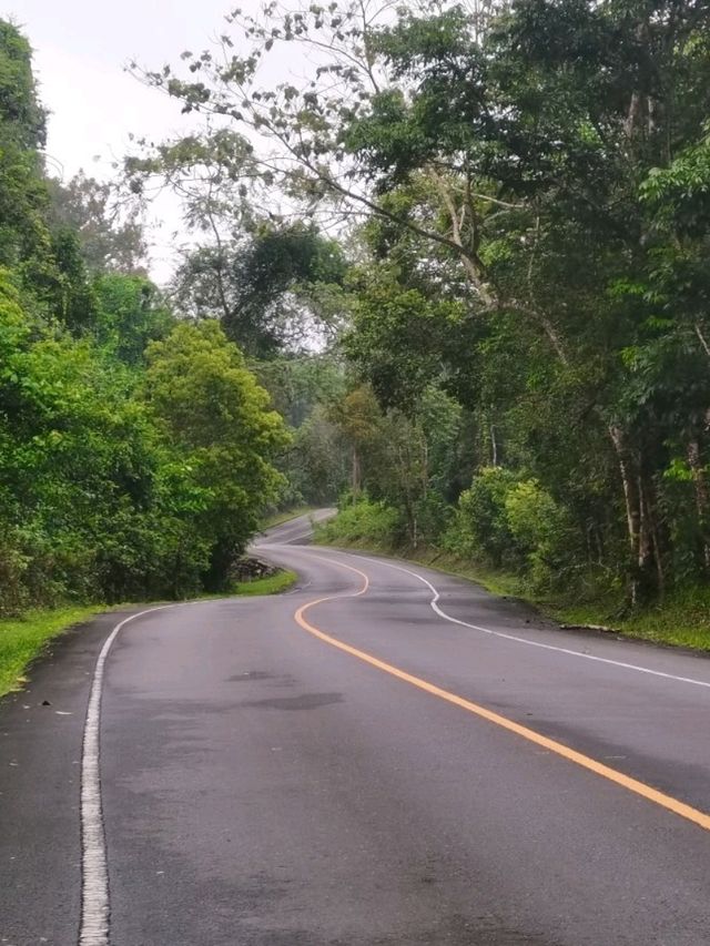 อุทยานแห่งชาติเขาใหญ่ จ.นครราชสีมา