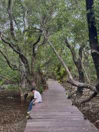 บ้านปู รีสอร์ท ที่พักติดป่าชายเลน ตราด 💚🌳🍃