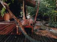 อยากตื่นมาเจอแบบนี้ทุกวันเลย...ที่นี่กระท่อมกลางนา