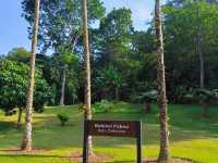 Discover Kepong: Kuala Lumpur’s Hidden Oasis for Nature and Food Lovers