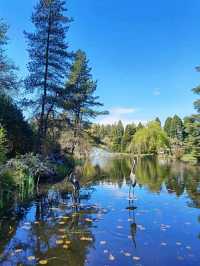 VanDusen Botanical Garden – A Tranquil Oasis in the Heart of Vancouver