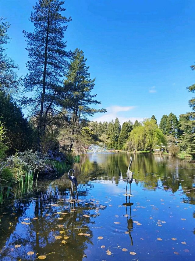 VanDusen Botanical Garden – A Tranquil Oasis in the Heart of Vancouver