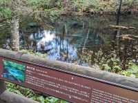 北海道道東🇯🇵 世界自然遺產