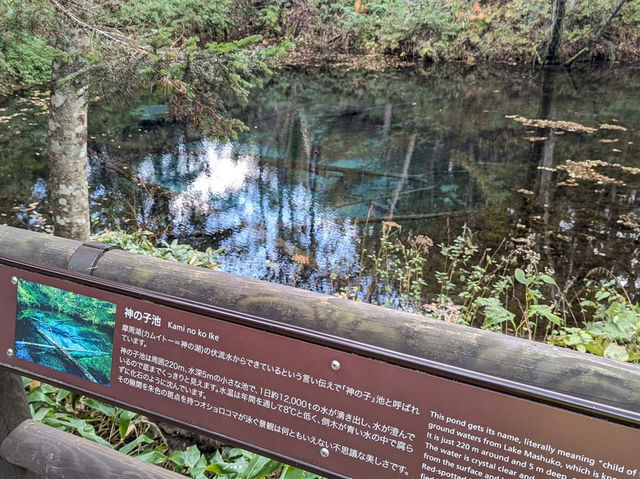 北海道道東🇯🇵 世界自然遺產
