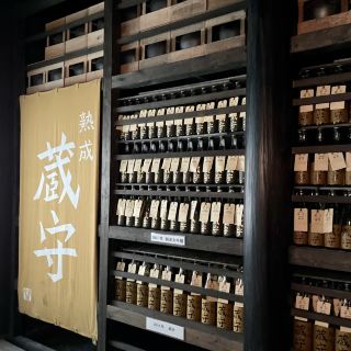 성인들의 소풍! 성인 소풍 in 오메!