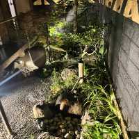 【京都】京都市役所前グルメ🍴ふじや京色