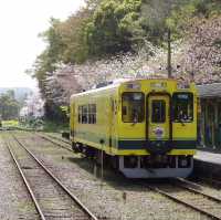 いすみ鉄道に乗りに🚃