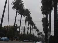So excited to be here: Beverly Hills! 