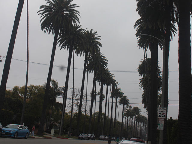 So excited to be here: Beverly Hills! 
