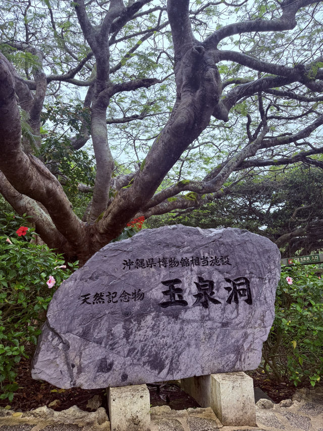 沖繩｜宛如夢境的玉泉洞 30萬年形成的神秘世界