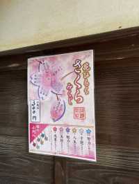 🌸【枝垂櫻與靜心古寺的邂逅】春日私藏景點：水戶大師六地藏寺一日小旅行