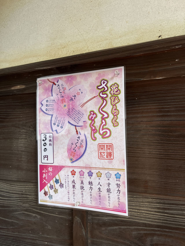 🌸【枝垂櫻與靜心古寺的邂逅】春日私藏景點：水戶大師六地藏寺一日小旅行