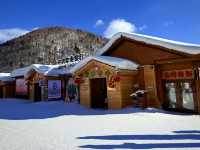 Winter Wonderland: A Stroll Through China Snow Town