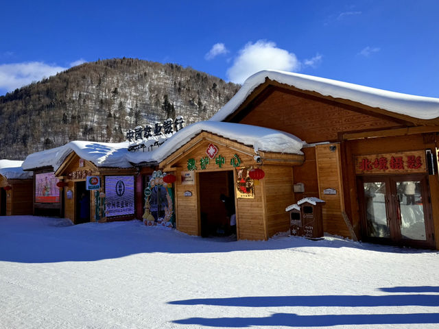 Winter Wonderland: A Stroll Through China Snow Town