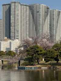 東京濱離宮恩賜庭園購物攻略｜古典庭園中的特色伴手禮精選