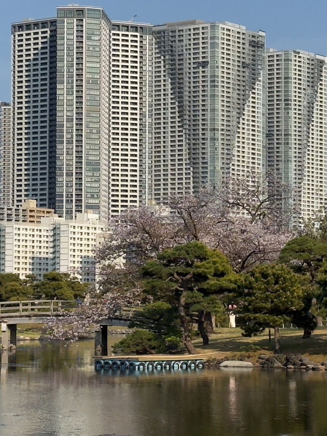 東京濱離宮恩賜庭園購物攻略｜古典庭園中的特色伴手禮精選