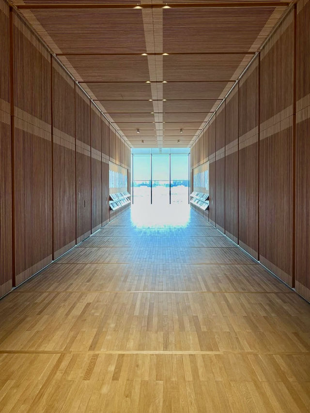 Toyama Prefectural Museum – Free Art, Rooftop Playgrounds & Design Delights