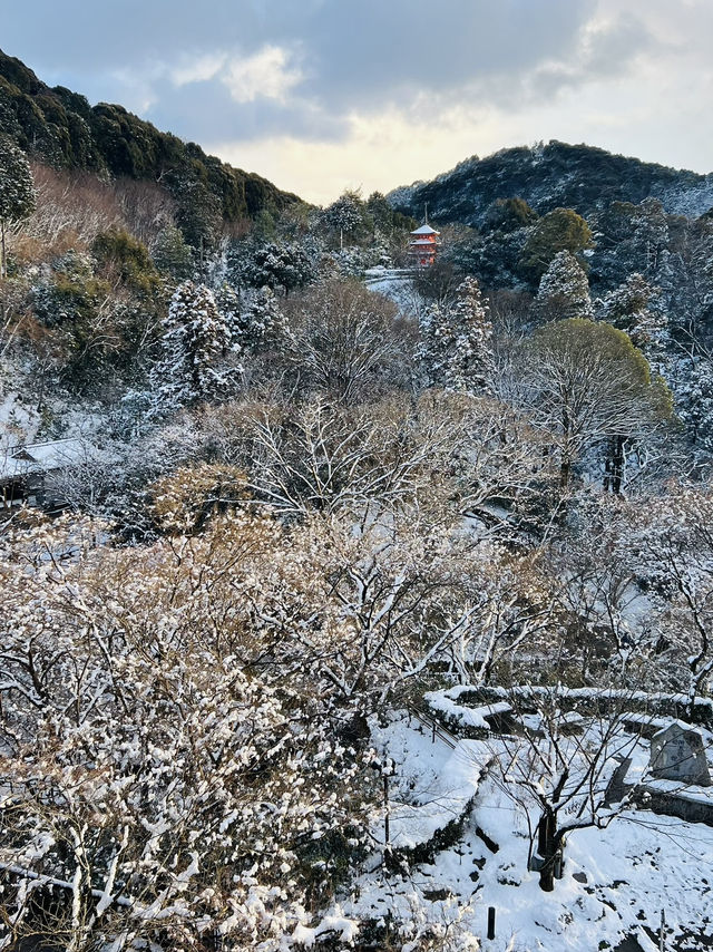 ❄️冬こそ行きたい！静かで美しい⛄️京都おすすめスポット3選