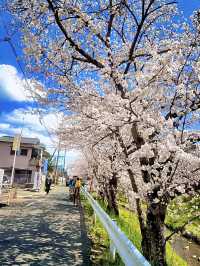 โอซาก้า🇯🇵