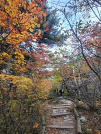 Chill Adventures at Seoraksan National Park Nature Center (Inje-gun Edition!)