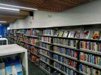 Toronto Public Library – Where Community and Curiosity Meet