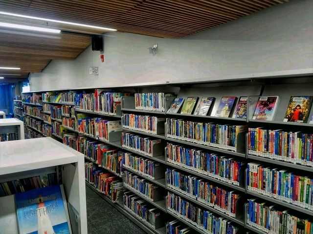 Toronto Public Library – Where Community and Curiosity Meet