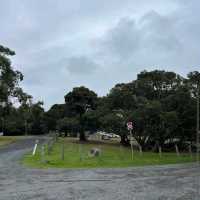 Phillip Island Nature Parks – VIC