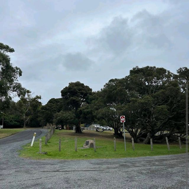 Phillip Island Nature Parks – VIC