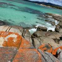 Bay of Fires – TAS