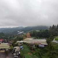 a wonderful experienxe in Cameron hillands