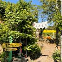 Jeju Island's Must-Try: The Secret Jungle Boating Park! 🌴🛶