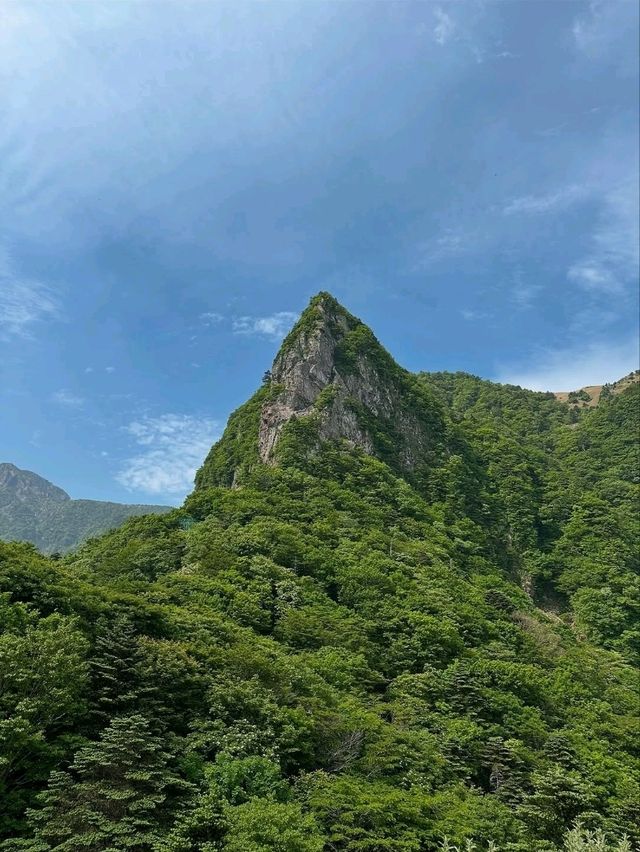 Hallasan: 1950m