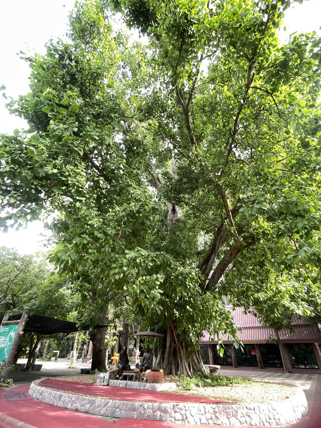 สถานที่ปฎิบัติธรรมจังหวัดสระบุรี วัดเขาวง