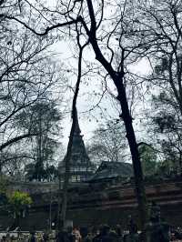 Wat Umong thriving meditation center of 13th century 