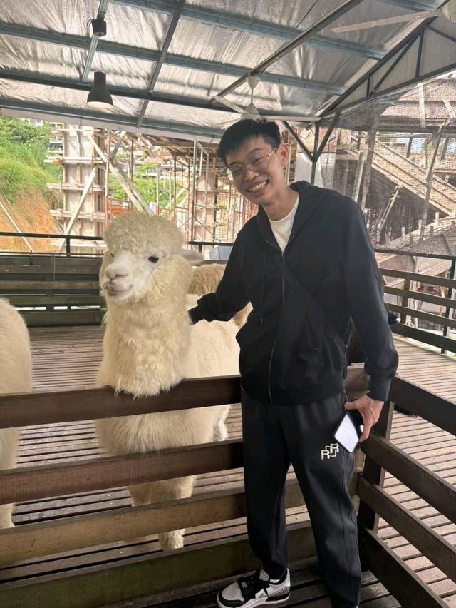 Me and my Fluffy Sidekick