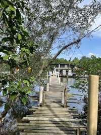 Outdoorgate Sepang Mangrove River Kayaking, A Thrilling Eco Adventure