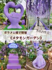 【ソウル🇰🇷】期間限定！メタモンガーデン🪻